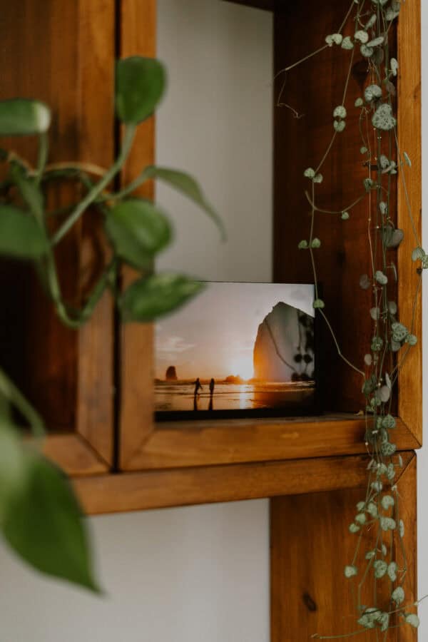 Wissel Frame voor Liggende Foto's in een kast met een hangplant er half voor